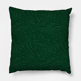 Topography Pillow