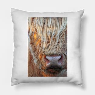 Highland Cow Pillow