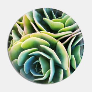 Succulent Rose Pin