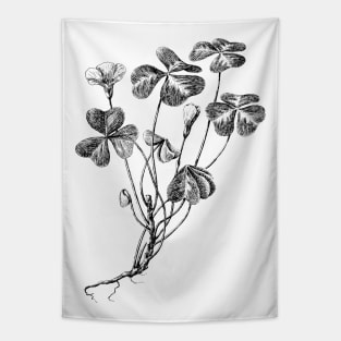 Forest Clover Black and White Vintage Botanical Illustration Tapestry