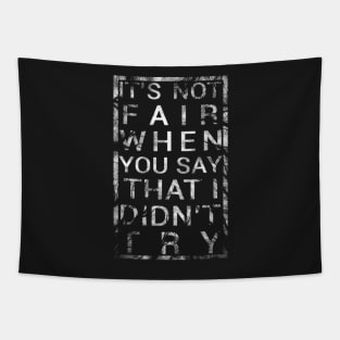 It's Not Fair When You Say That I Did not Try Tapestry