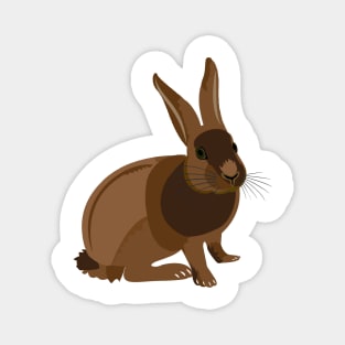 Tortoiseshell Rabbit Magnet