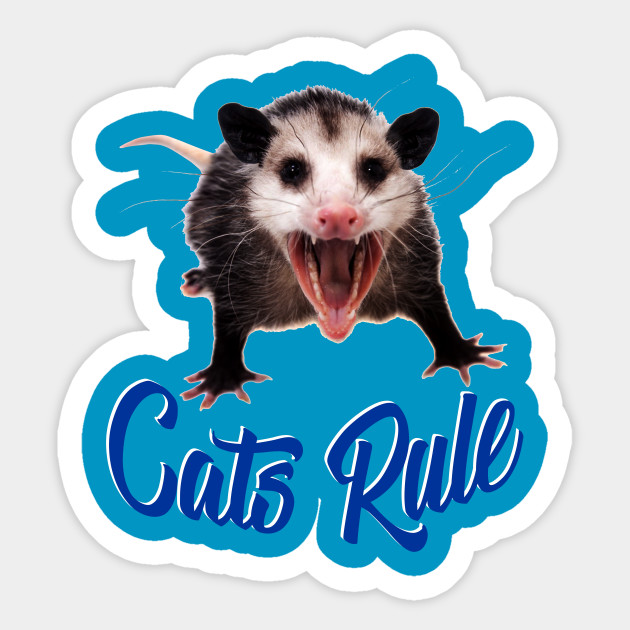 Cats Rule Possum Opossum Sticker Teepublic