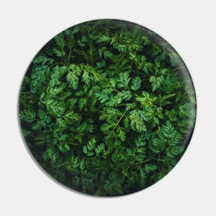 Wild parsley texture Pin