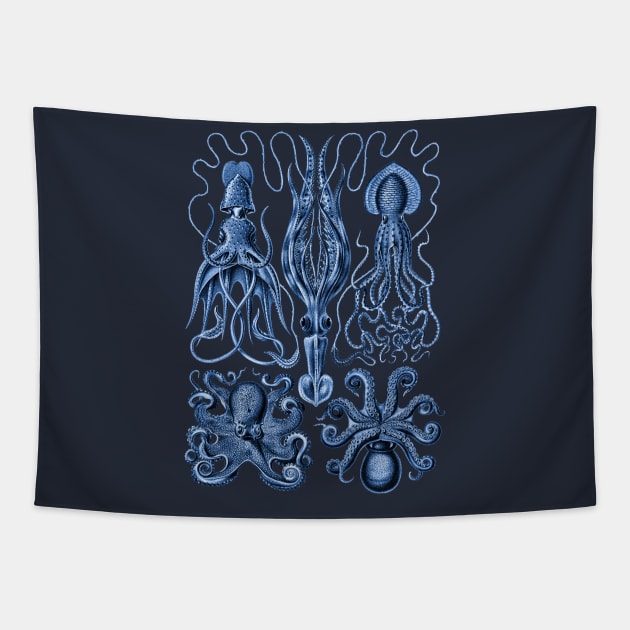 Ernst Haeckel Gamochonia Octopus Blue Tapestry by Scientistudio