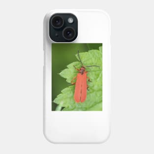 Red net-winged beetle - Dictyoptera simplicipes Phone Case