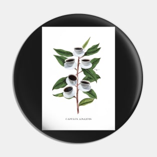 Coffee Botanical Print Pin