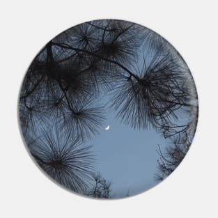 Bright moon shining through lush tree at night Pin