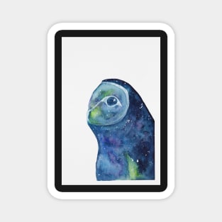 Galaxy Barn Owl Magnet