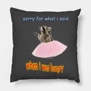 Sorry for What I Said Pillow