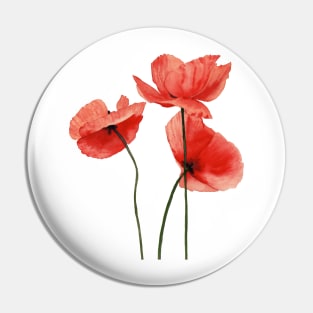 Watercolor poppies Pin