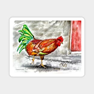 Grand Cayman Rooster Magnet