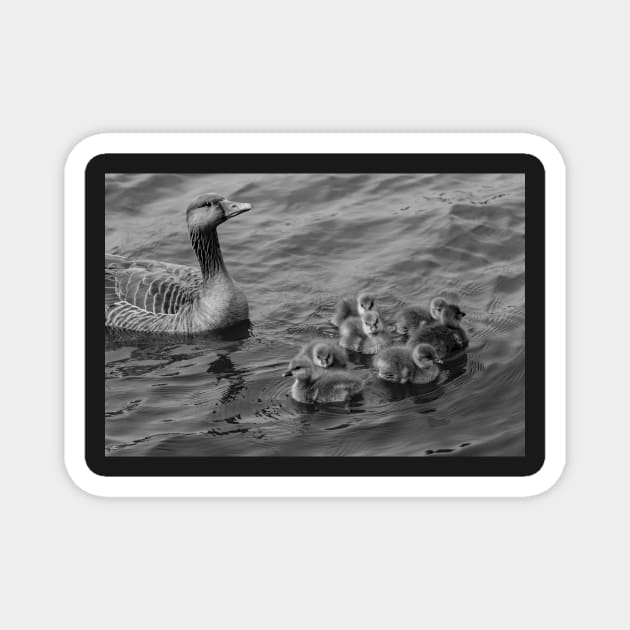 Mother goose Magnet by yackers1