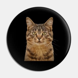 Cat Zoning Out Pin