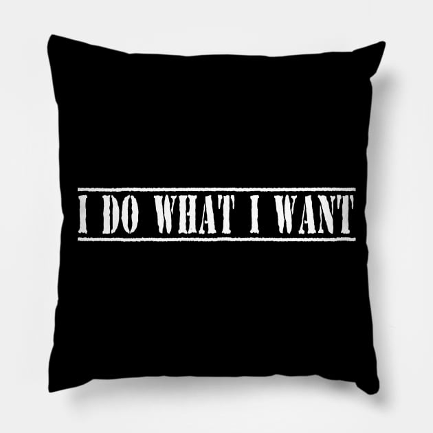 I Do What I Want Funny Joke Sarcastic T-Shirt Pillow by ckandrus