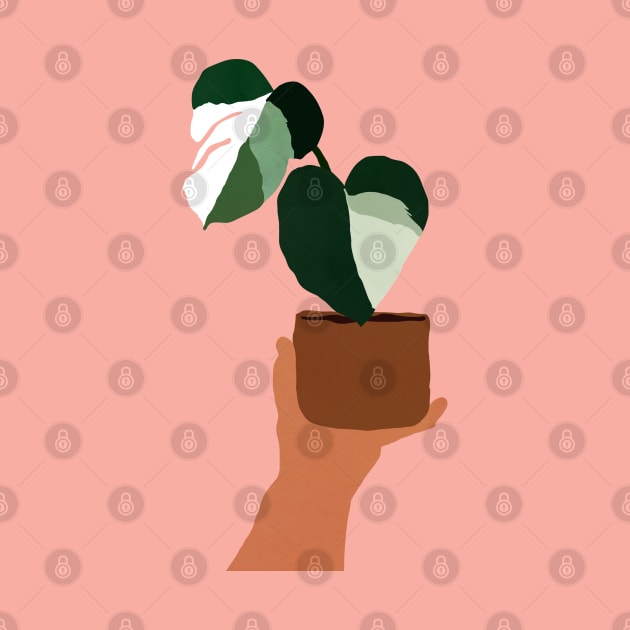 Monstera by eveline