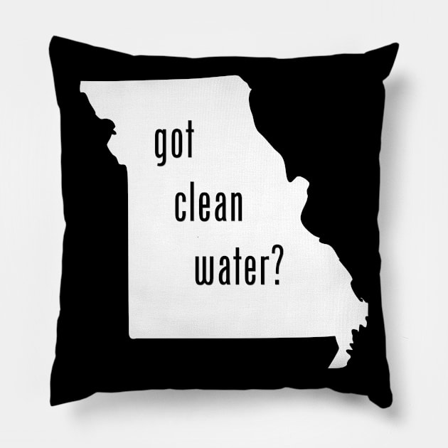 MO-Got Clean Water? Pillow by CleanWater2019