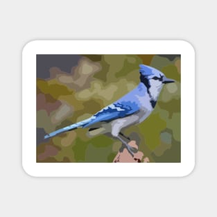 Blue Jay Digital Painting Magnet