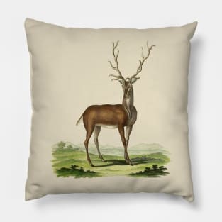 Deer Nature Illustration Pillow