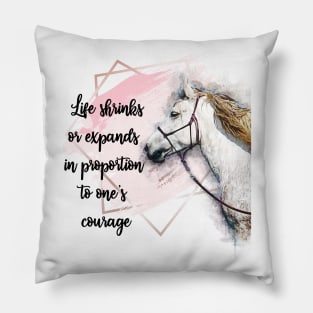 Life Shrinks or expands Pillow