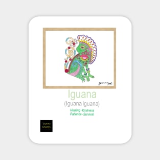 Iguana Magnet