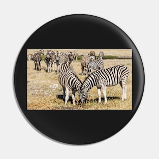 Zebra group. Pin