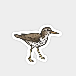 Spotted Sandpiper Magnet