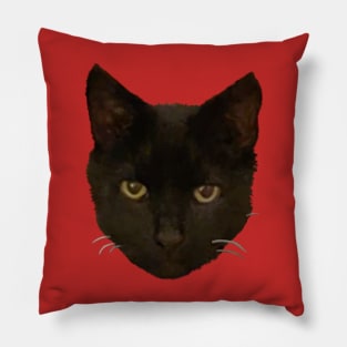 Stealthy Black Cat Pillow