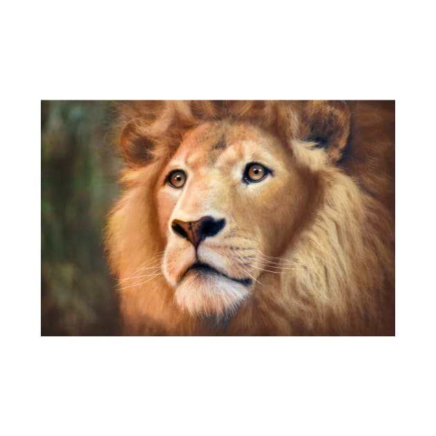 Lion by Daniel Ranger