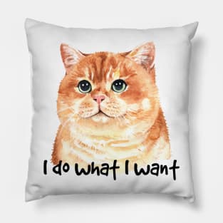 I do What I Want Kitten Pillow