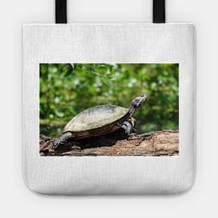 Red-eared slider (Trachemys scripta elegans) Tote