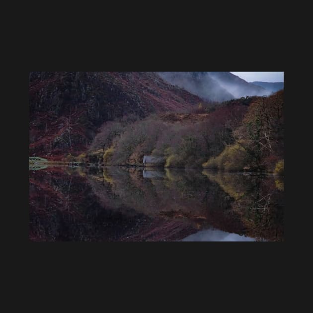 LLYN DINAS WATERSCAPE by dumbodancer