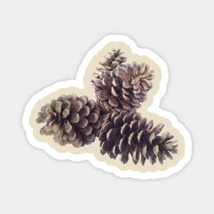 Pine Cones Magnet