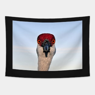 Head shot Tapestry