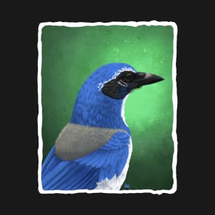 Scrub Jay T-Shirt