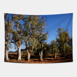 Gum trees in Outback Australia Tapestry