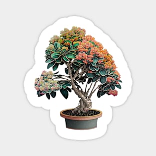 Kalanchoe Bonsai Magnet