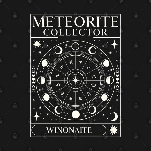 This Meteorite Collector Winonaite Meteorite Meteorite by Meteorite Factory