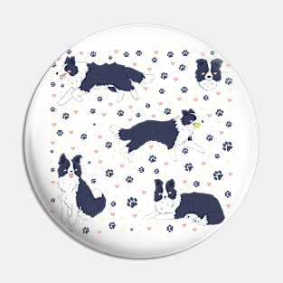 Cute border collies Pin