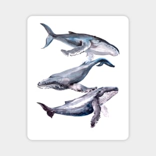 Three Whales Magnet