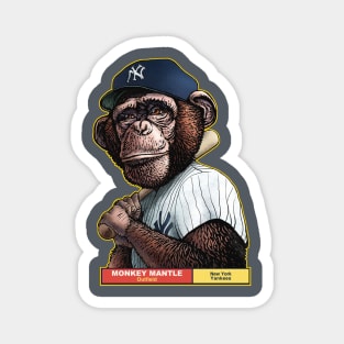 Monkey Mantle Magnet