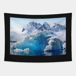 Iceberg in Cierva Cove, Antarctica Tapestry