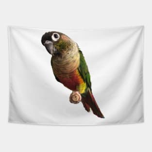 Green Cheek Conure Parrot Bird design, Love for birds Tapestry