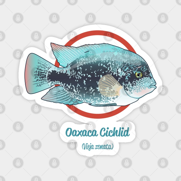 Oaxaca Cichlid Magnet by Reefhorse