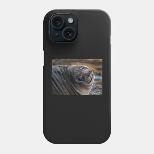 Elephant Seal Phone Case