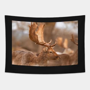 Fallow deer antlers Tapestry