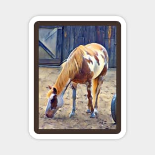 American Paint Horse Magnet