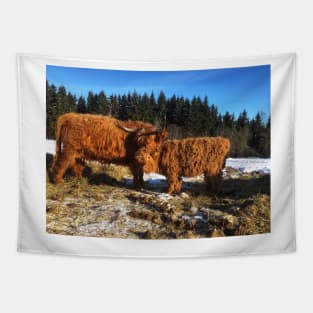 Scottish Highland Cattle Cow and Calf 1697 Tapestry