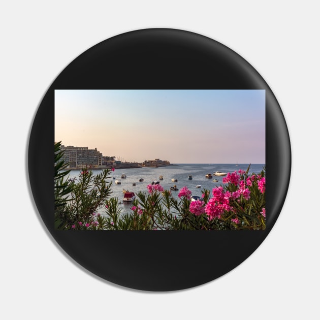 Pink Nerium oleander flowers against Malta's Bay Pin by lena-maximova