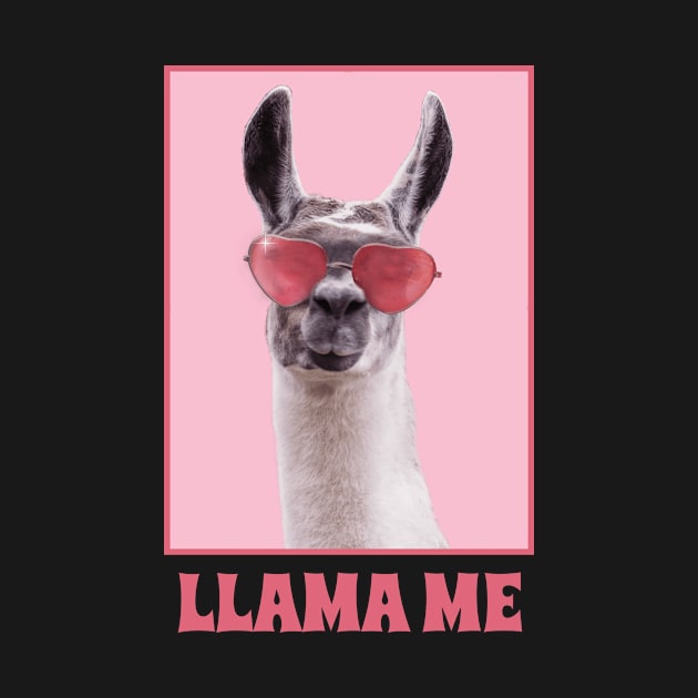 Llama Me by DM_Creation